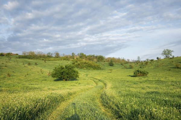 Les meilleures compagnies de croisières selon les avis des voyageurs