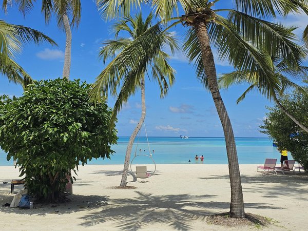 Partir en vacances en van : le bon plan économique ?